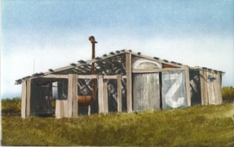 Eccentric shed sitting in a meadow